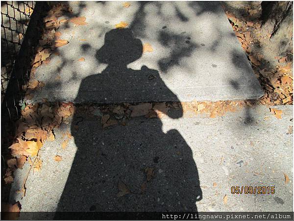 PhotoWindow_20150906012123