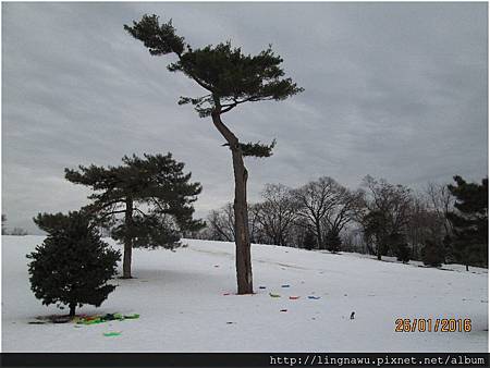 PhotoWindow_20160127004143.jpg PhotoWindow_20160127004143.jpg
