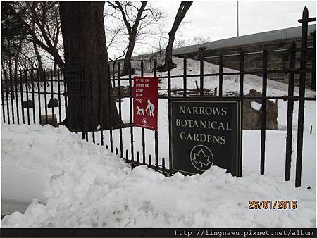 PhotoWindow_20160127004225.jpg PhotoWindow_20160127004225.jpg