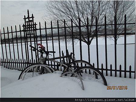 PhotoWindow_20160127004512.jpg PhotoWindow_20160127004512.jpg