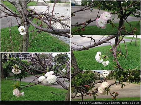 PhotoWindow_20170421064840.jpg PhotoWindow_20170421064840.jpg