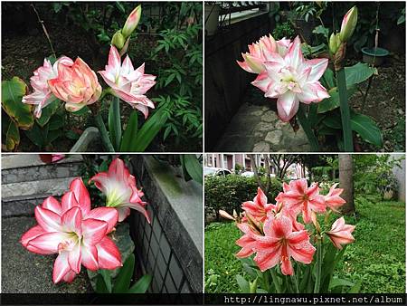 PhotoWindow_20170421151400.jpg PhotoWindow_20170421151400.jpg