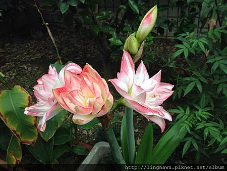 IMG_6273.JPG IMG_6273.JPG