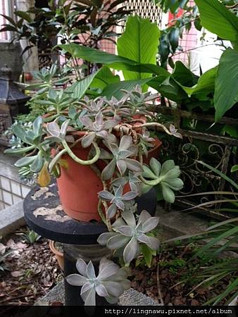 IMG_9930.JPG IMG_9930.JPG