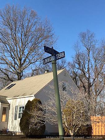 IMG_2949.jpg IMG_2949.jpg