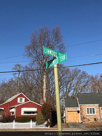 IMG_2955.jpg IMG_2955.jpg