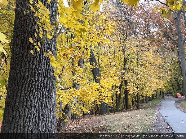 IMG_3646 (1).jpg IMG_3646 (1).jpg