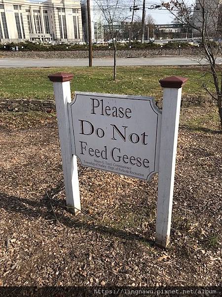 IMG_4257.jpg IMG_4257.jpg