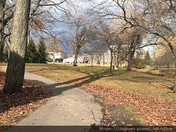 IMG_4692 12%2F15 IMG_4692 12%2F15