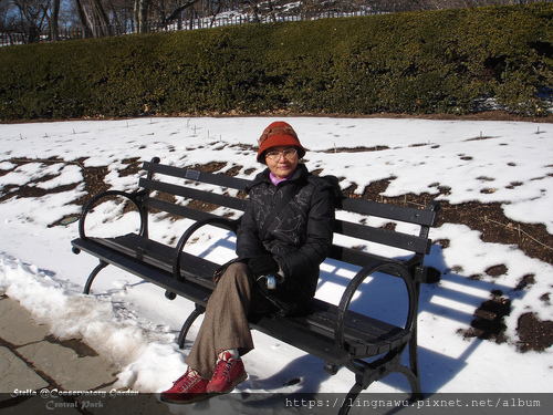2007/2月 紐約中央公園