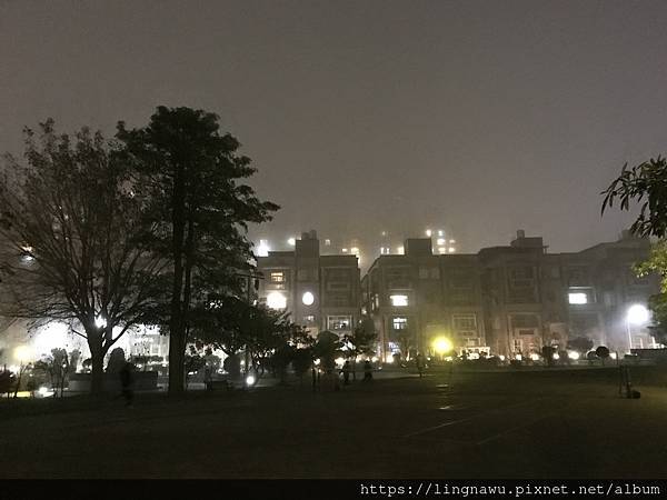 1/31 夜霧濃