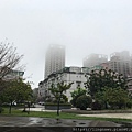 3/26 雨後晨霧