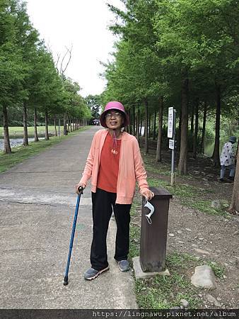 雷雨日的同學會