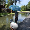 大湳森林公園