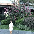 IMG_5870.JPG