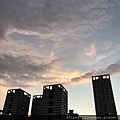 IMG_7403.JPG