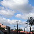 PA105382.JPG