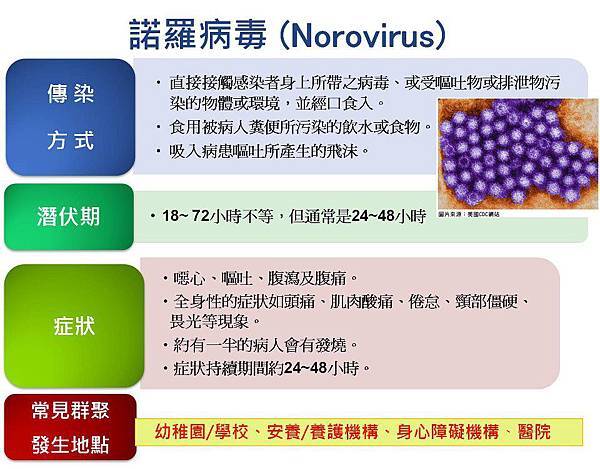 諾羅病毒認識