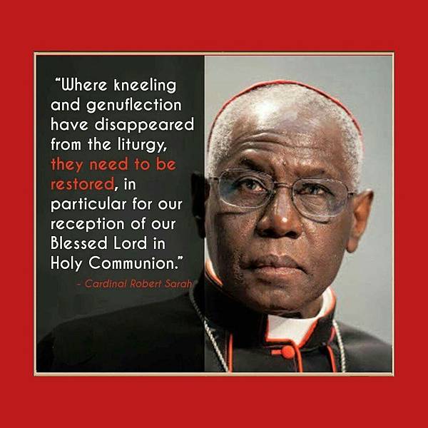 323.1月9日－沉默的力量－白孟德神父（Fr. Charl