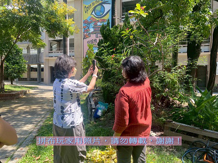 拼布玩家-提案的難題