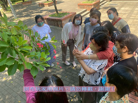 拼布玩家-提案的難題