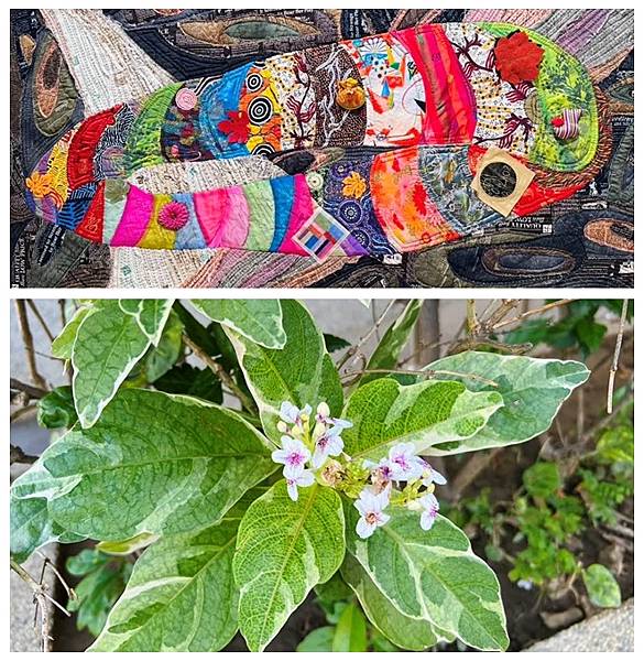 20251013 圓融圓滿.jpg