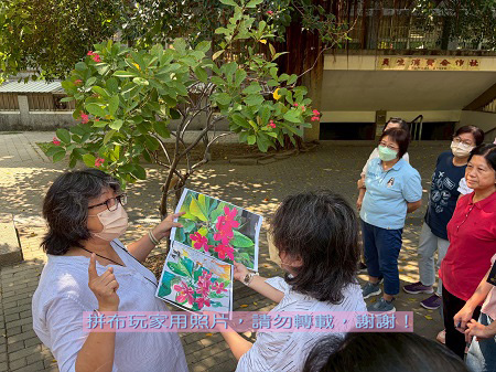 拼布玩家-教室外的花朵老師