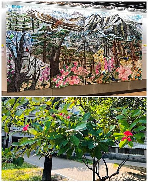 20251020 來去上課.jpg