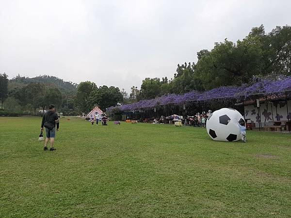 20240309_130712.jpg