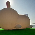 20250129_145343.jpg
