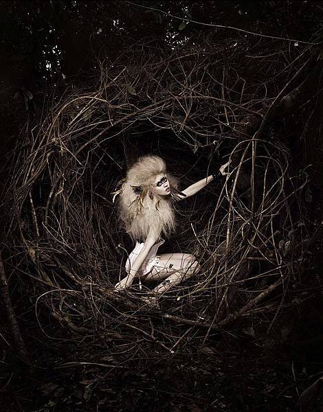 16Allison Harvard (C12參賽照)