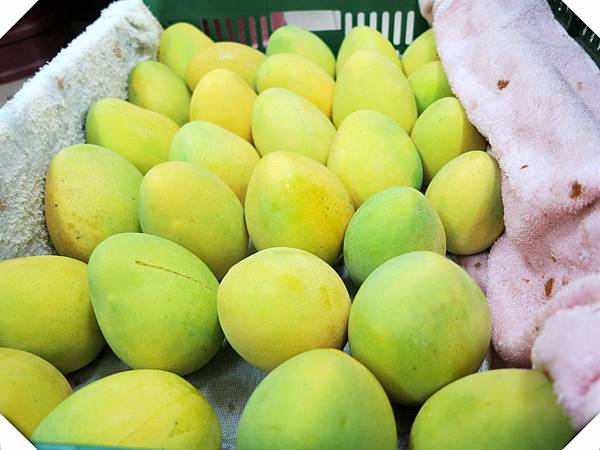 IMG_8789.jpg IMG_8789.jpg