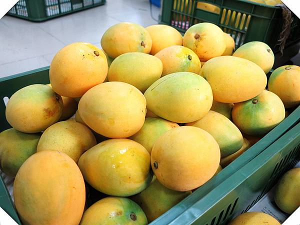 IMG_8805.jpg IMG_8805.jpg