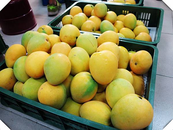 IMG_8807.jpg IMG_8807.jpg