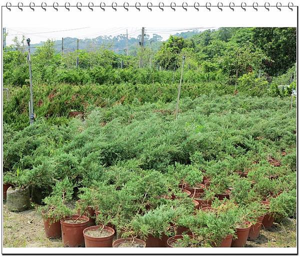 image005.jpg image005.jpg