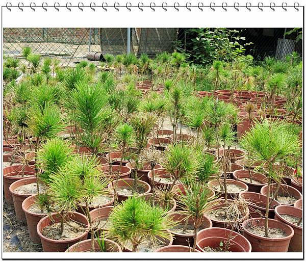 image007.jpg image007.jpg