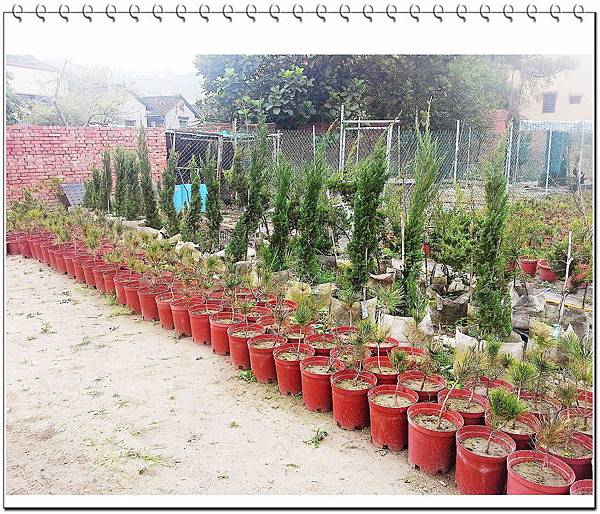 image009.jpg image009.jpg