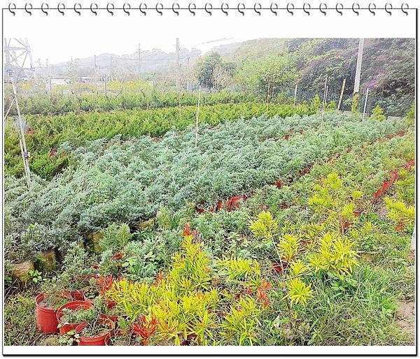 image011.jpg image011.jpg