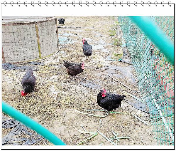 image013.jpg image013.jpg