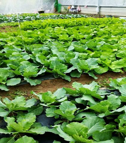 image012.jpg image012.jpg