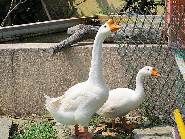 image045.jpg image045.jpg