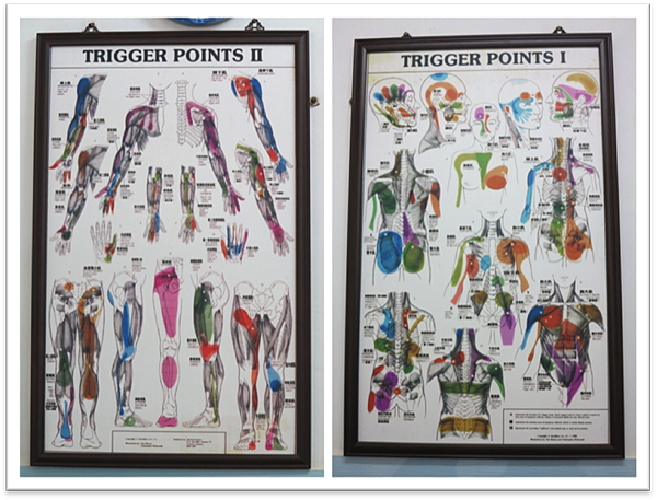 image013.png image013.png