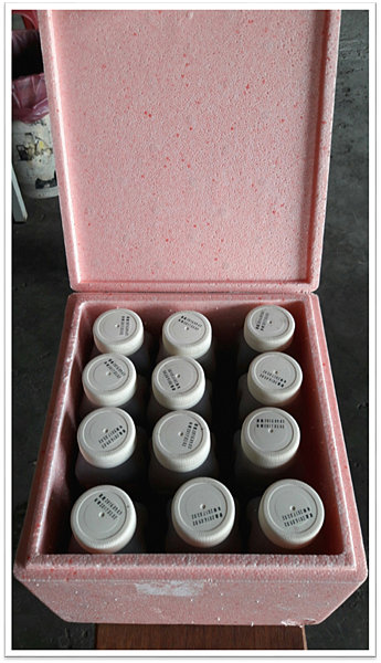 image003.png image003.png