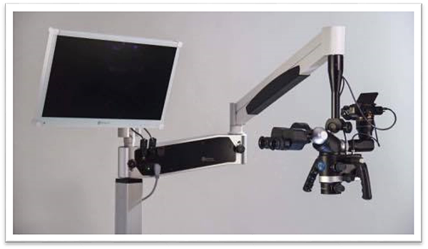 image005.png image005.png