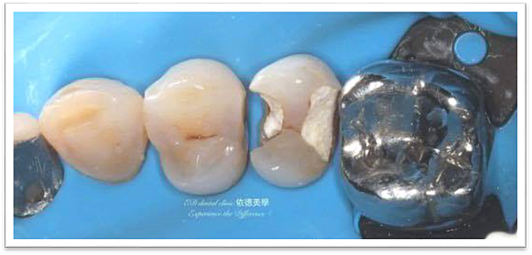 image009.png image009.png