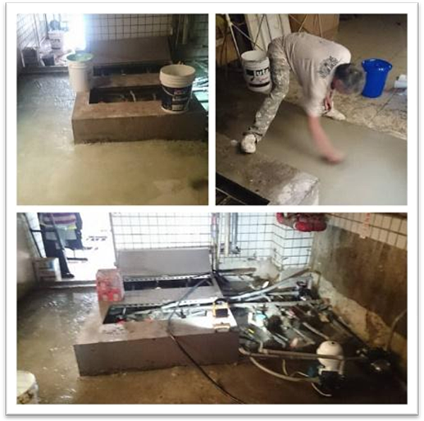 image009.png image009.png