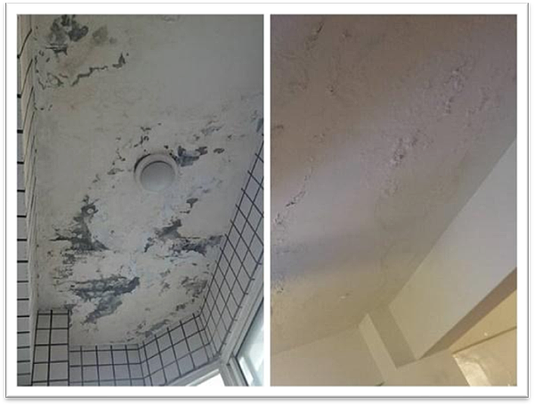 image005.png image005.png