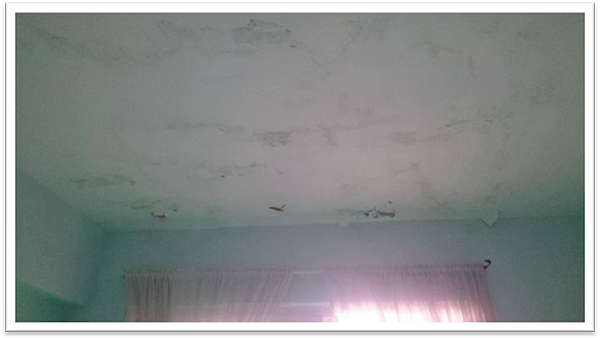 image003.png image003.png