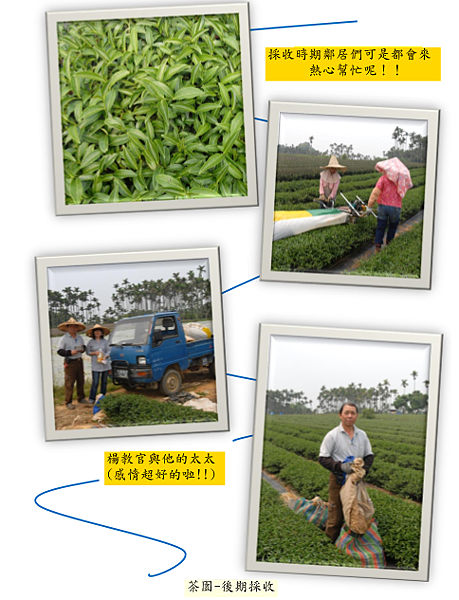 圖片 78.png 圖片 78.png