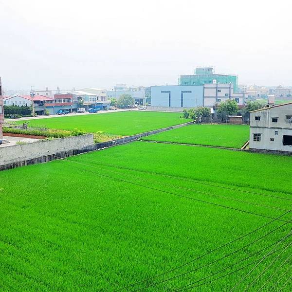 image022.jpg image022.jpg